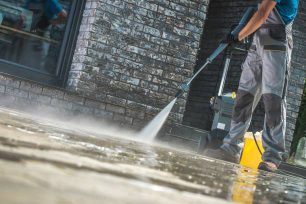 Animal Enclosure Cleaning in Monahans, TX